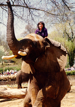 Debbie riding an elephant